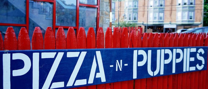 Pizza and Puppies Philadelphia (1)